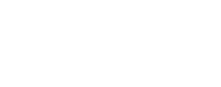 PlexiDor